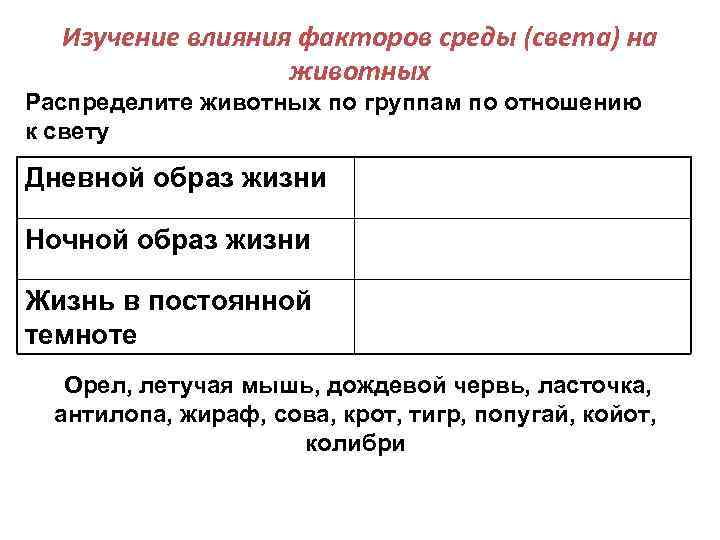 Изучение влияния факторов среды (света) на животных Распределите животных по группам по отношению к