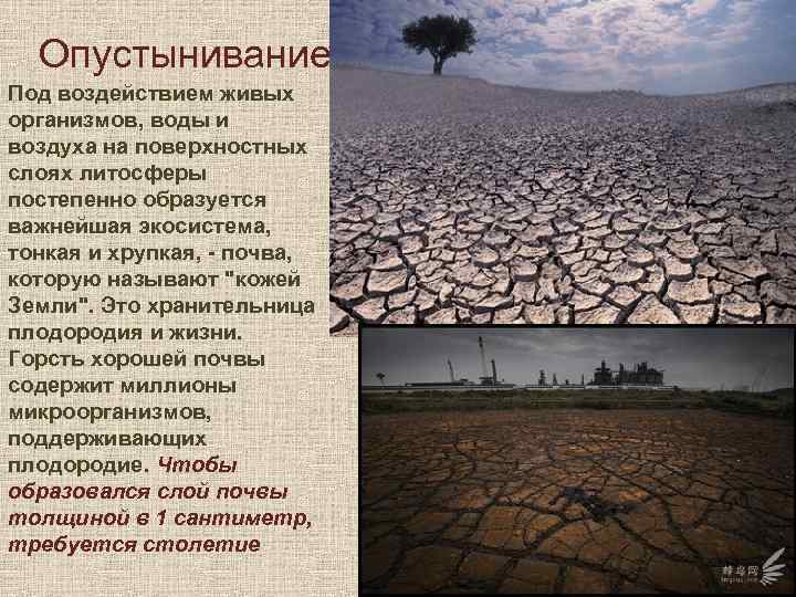 Опустынивание Под воздействием живых организмов, воды и воздуха на поверхностных слоях литосферы постепенно образуется