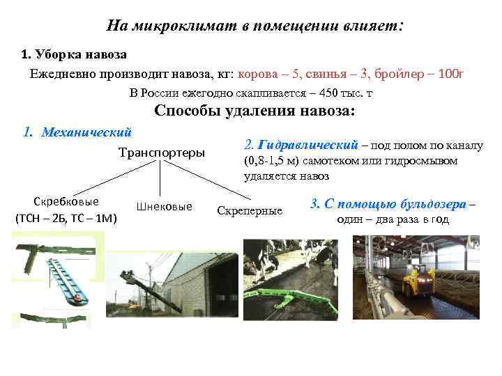 На микроклимат в помещении влияет: 1. Уборка навоза Ежедневно производит навоза, кг: корова –