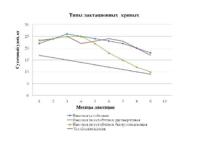 Месяцы лактации 