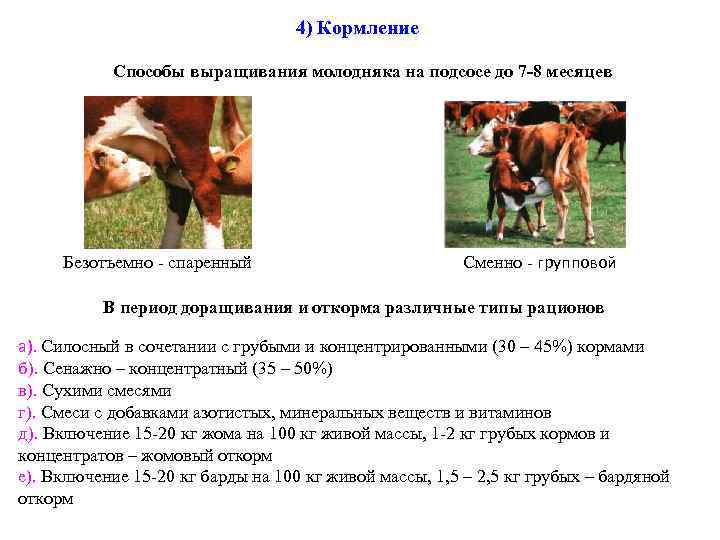 4) Кормление Способы выращивания молодняка на подсосе до 7 -8 месяцев Безотъемно - спаренный