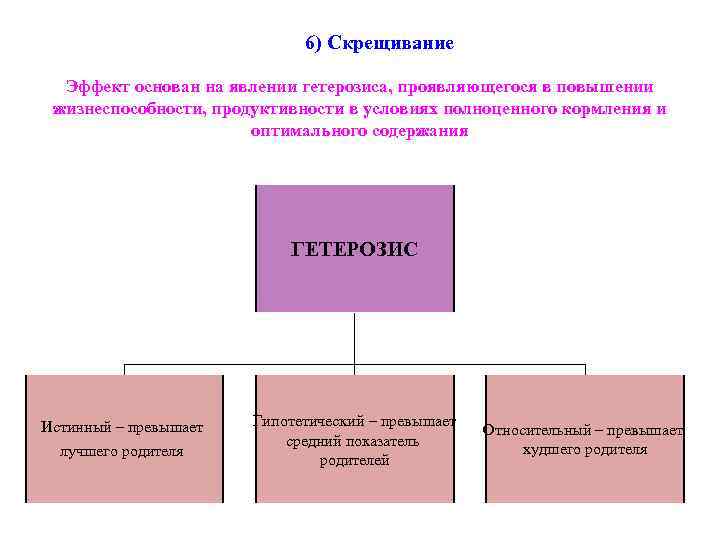 6) Скрещивание Эффект основан на явлении гетерозиса, проявляющегося в повышении жизнеспособности, продуктивности в условиях