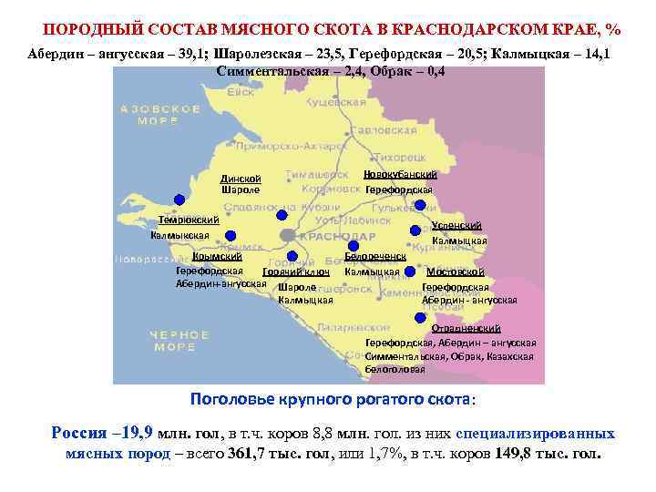 ПОРОДНЫЙ СОСТАВ МЯСНОГО СКОТА В КРАСНОДАРСКОМ КРАЕ, % Абердин – ангусская – 39, 1;