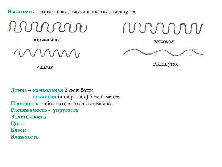 Извитость – нормальная, высокая, сжатая, вытянутая нормальная сжатая Длина – камвольная 6 см и