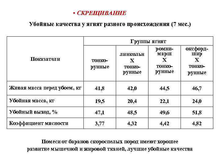  • СКРЕЩИВАНИЕ Убойные качества у ягнят разного происхождения (7 мес. ) Группы ягнят