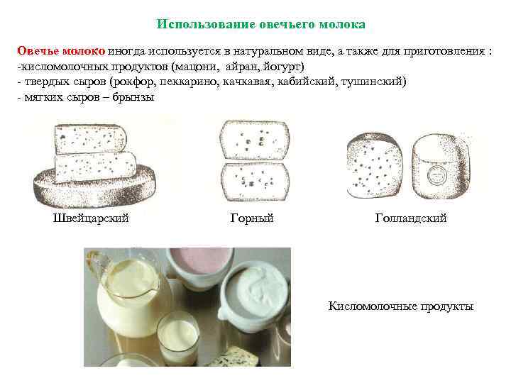 Использование овечьего молока Овечье молоко иногда используется в натуральном виде, а также для приготовления