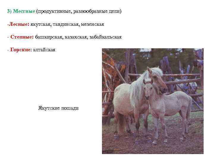 3) Местные (продуктивные, разнообразные цели) -Лесные: якутская, тавдинская, мезенская - Степные: башкирская, казахская, забайкальская