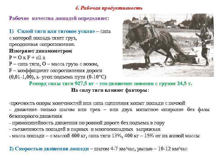 4. Рабочая продуктивность Рабочие качества лошадей определяют: 1) Силой тяги или тяговое усилие –