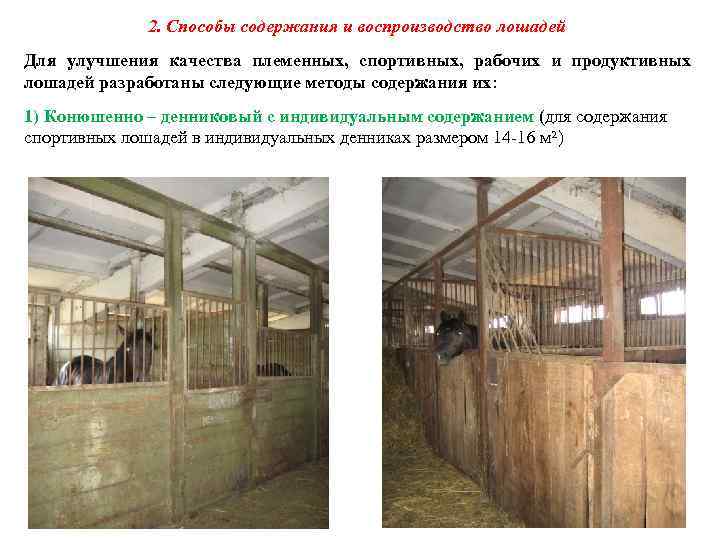 2. Способы содержания и воспроизводство лошадей Для улучшения качества племенных, спортивных, рабочих и продуктивных