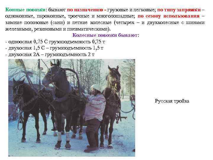 Конные повозки: бывают по назначению - грузовые и легковые; по типу запряжки – одноконные,