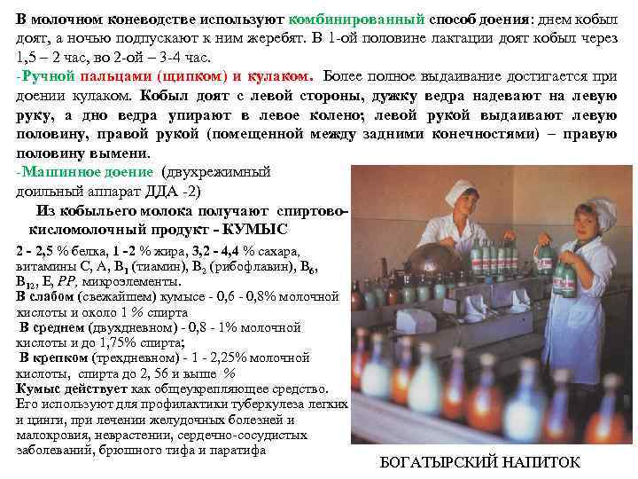 В молочном коневодстве используют комбинированный способ доения: днем кобыл доят, а ночью подпускают к