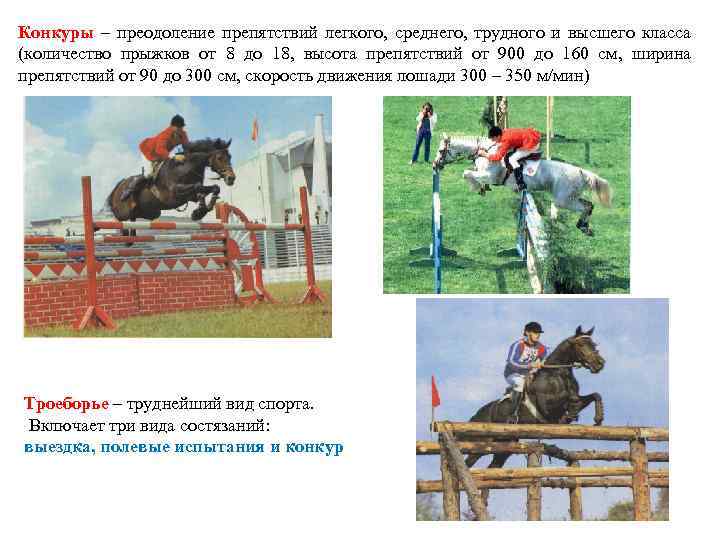 Конкуры – преодоление препятствий легкого, среднего, трудного и высшего класса (количество прыжков от 8