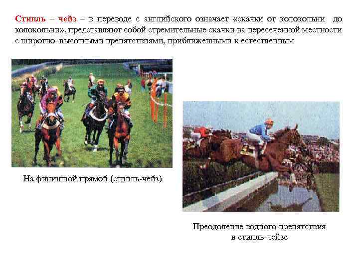 Стипль – чейз – в переводе с английского означает «скачки от колокольни до колокольни»