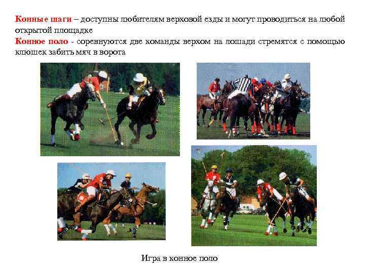 Конные шаги – доступны любителям верховой езды и могут проводиться на любой открытой площадке