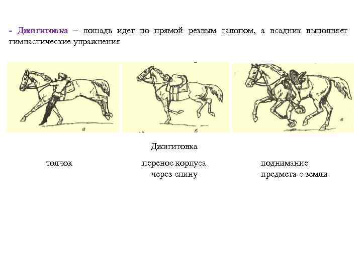- Джигитовка – лошадь идет по прямой резвым галопом, а всадник выполняет гимнастические упражнения