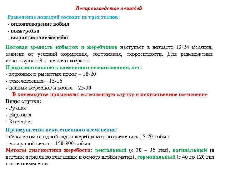 Воспроизводство лошадей Разведение лошадей состоит из трех этапов: - оплодотворение кобыл - выжеребка -