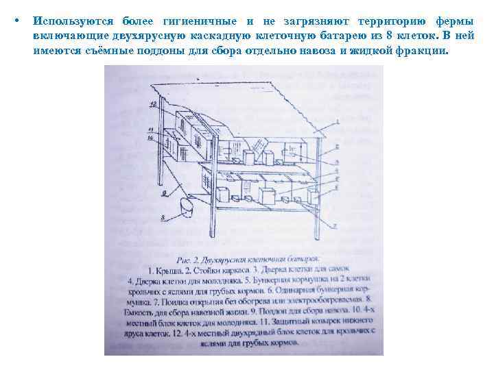  • Используются более гигиеничные и не загрязняют территорию фермы включающие двухярусную каскадную клеточную