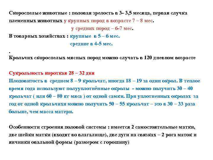Скороспелые животные : половая зрелость в 3 - 3, 5 месяца, первая случка племенных