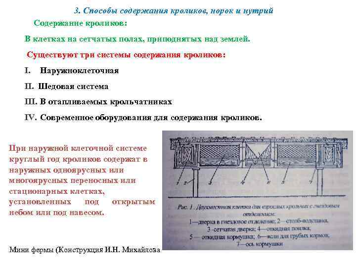 3. Способы содержания кроликов, норок и нутрий Содержание кроликов: В клетках на сетчатых полах,