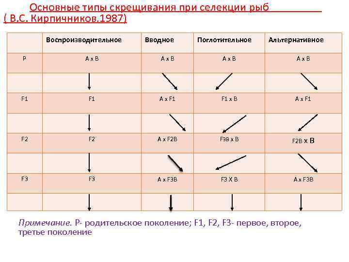 Основные типы скрещивания при селекции рыб ( В. С. Кирпичников, 1987) Воспроизводительное Вводное Поглотительное