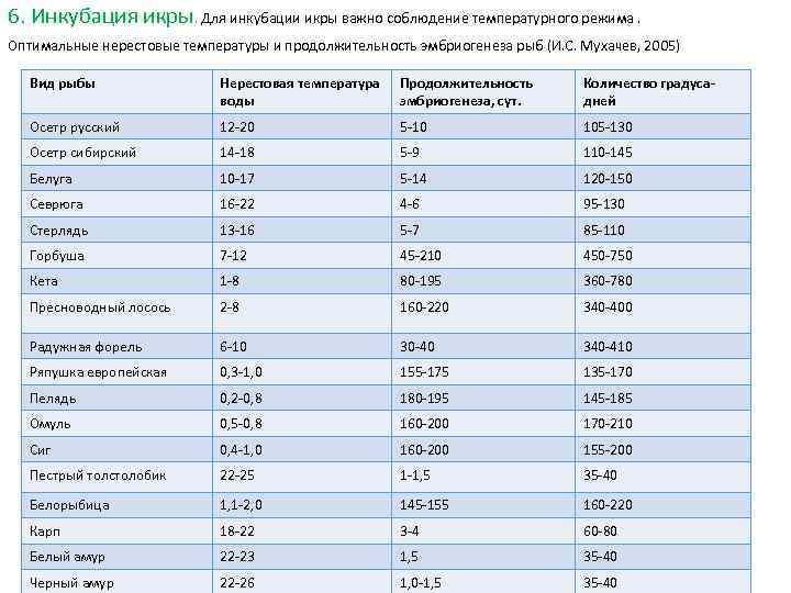 6. Инкубация икры. Для инкубации икры важно соблюдение температурного режима. Оптимальные нерестовые температуры и