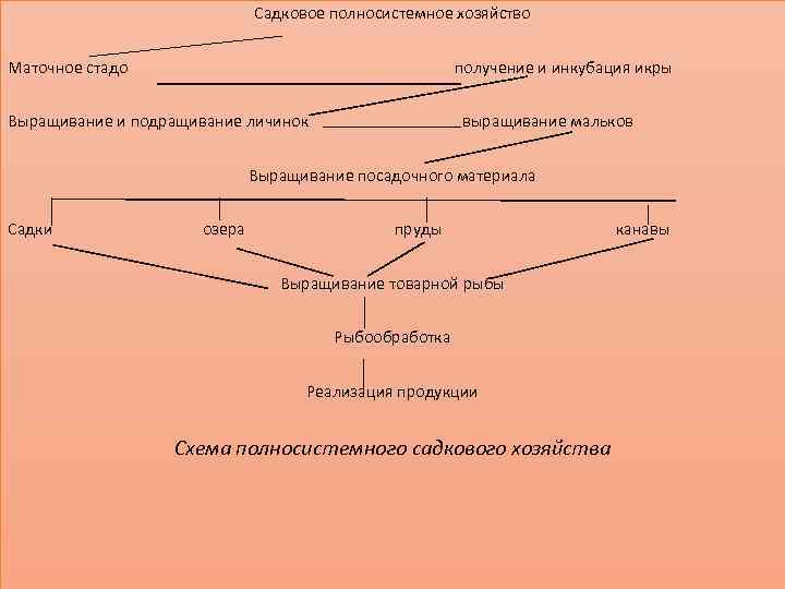 Садковое полносистемное хозяйство Маточное стадо получение и инкубация икры Выращивание и подращивание личинок выращивание