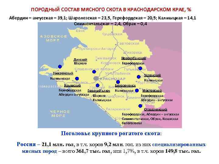 ПОРОДНЫЙ СОСТАВ МЯСНОГО СКОТА В КРАСНОДАРСКОМ КРАЕ, % Абердин – ангусская – 39, 1;