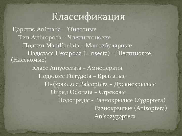 Классификация Царство Animalia – Животные Тип Arthropoda – Членистоногие Подтип Mandibulata – Мандибулярные Надкласс