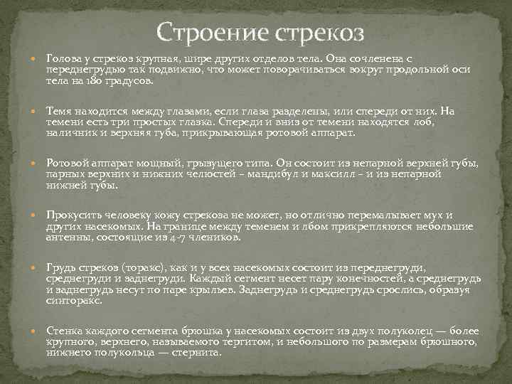 Строение стрекоз Голова у стрекоз крупная, шире других отделов тела. Она сочленена с переднегрудью