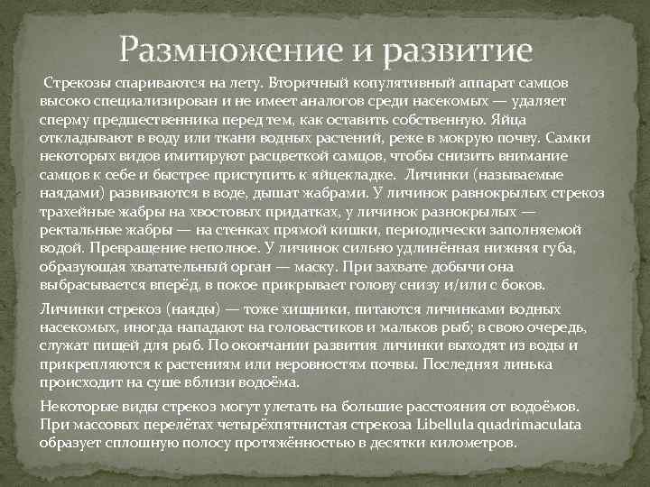 Размножение и развитие Стрекозы спариваются на лету. Вторичный копулятивный аппарат самцов высоко специализирован и