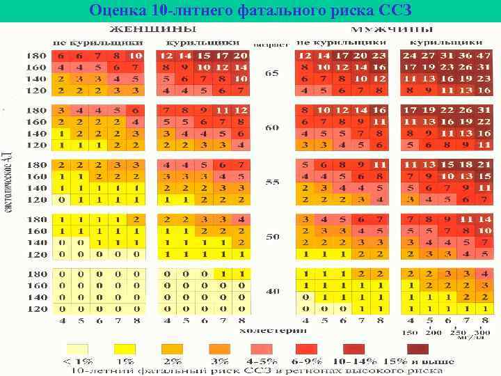 Оценка 10 -лнтнего фатального риска ССЗ 
