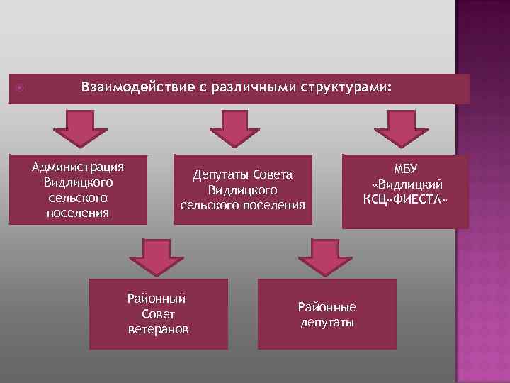  Взаимодействие с различными структурами: Администрация Видлицкого сельского поселения Депутаты Совета Видлицкого сельского поселения