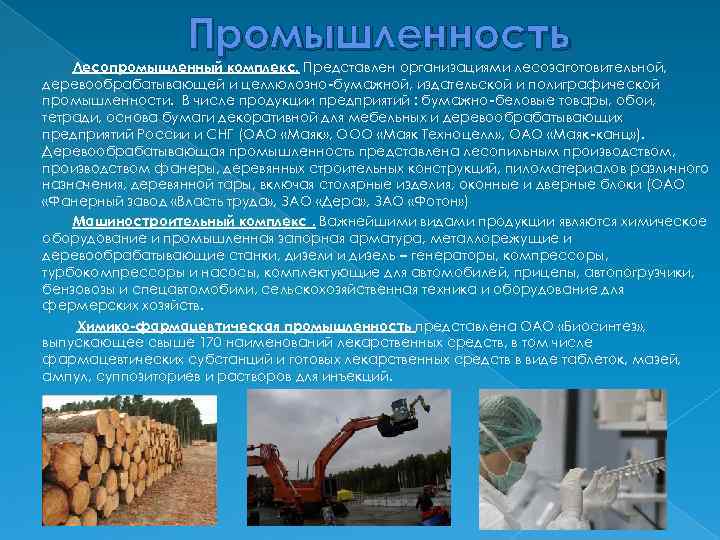 Промышленность Лесопромышленный комплекс. Представлен организациями лесозаготовительной, деревообрабатывающей и целлюлозно-бумажной, издательской и полиграфической промышленности. В