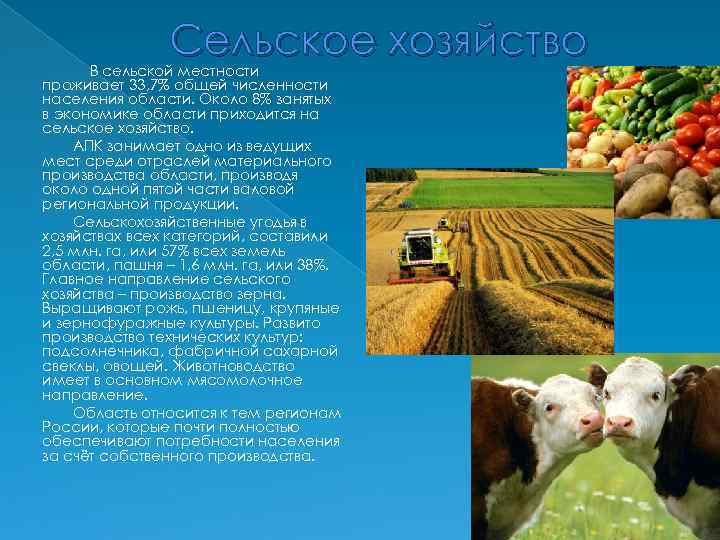Сельское хозяйство В сельской местности проживает 33, 7% общей численности населения области. Около 8%