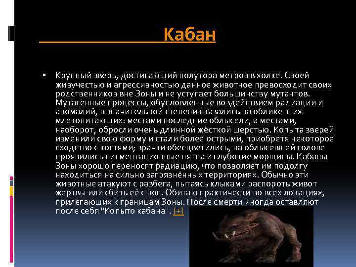 Кабан Крупный зверь, достигающий полутора метров в холке. Своей живучестью и агрессивностью данное животное