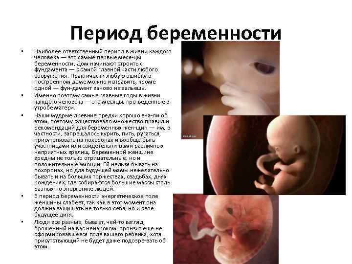 Период беременности • • • Наиболее ответственный период в жизни каждого человека — это