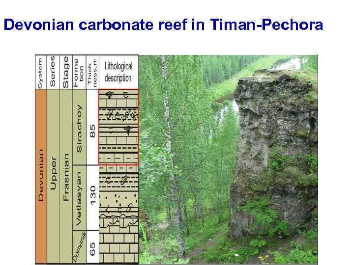 Devonian carbonate reef in Timan-Pechora 