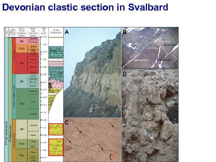 Devonian clastic section in Svalbard 