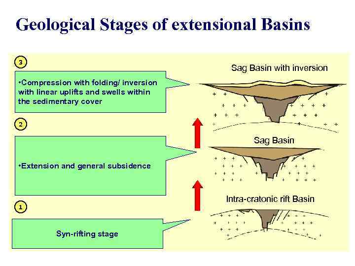 Geological Stages of extensional Basins 3 Sag Basin with inversion • Compression with folding/