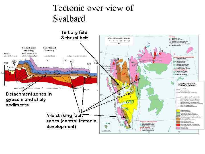 Tectonic over view of Svalbard Tertiary fold & thrust belt Detachment zones in gypsum