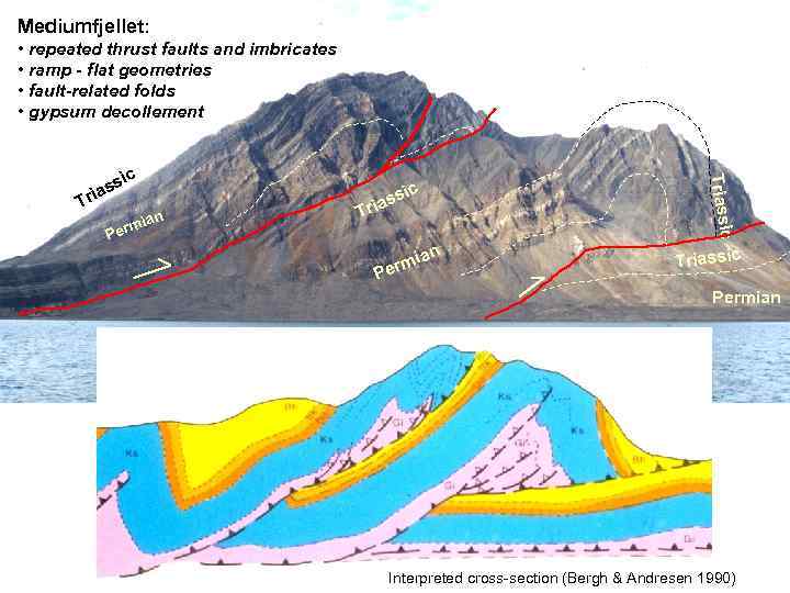 Mediumfjellet: • repeated thrust faults and imbricates • ramp - flat geometries • fault-related