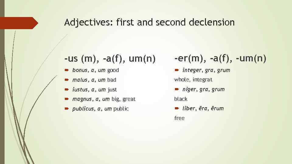 Adjectives: first and second declension -us (m), -a(f), um(n) -er(m), -a(f), -um(n) bonus, a,