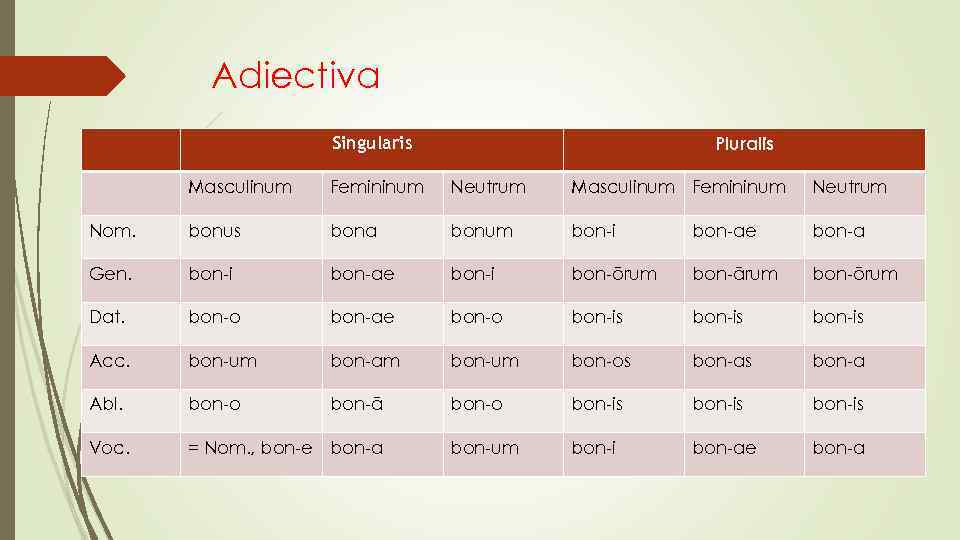 Adiectiva Pluralis Singularis Masculinum Femininum Neutrum Nom. bonus bona bonum bon-i bon-ae bon-a Gen.