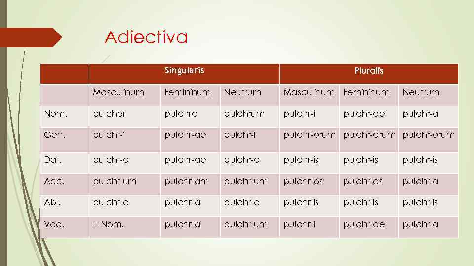 Adiectiva Pluralis Singularis Masculinum Femininum Neutrum Nom. pulcher pulchra pulchrum pulchr-i pulchr-a Gen. pulchr-i