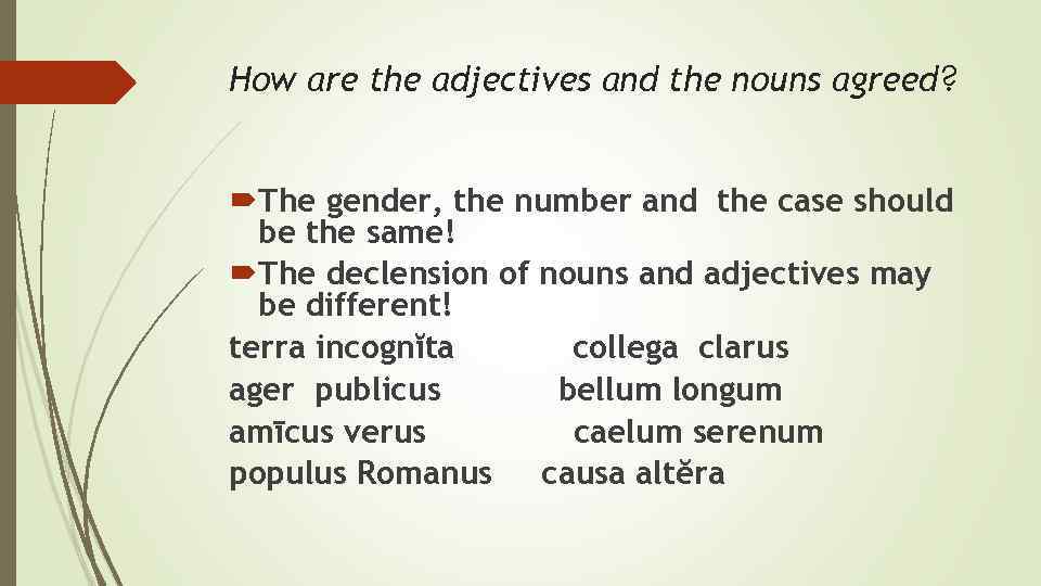 How are the adjectives and the nouns agreed? The gender, the number and the