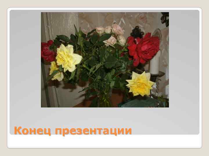 Конец презентации 