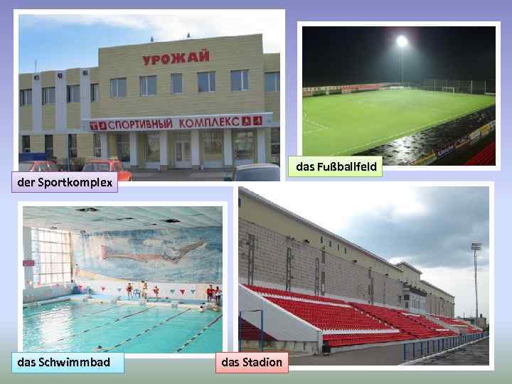  das Fußballfeld der Sportkomplex das Schwimmbad das Stadion 