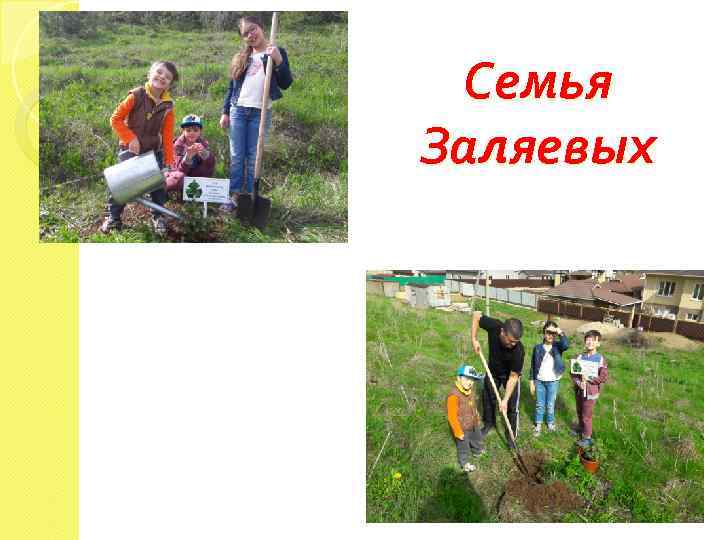 Семья Заляевых 
