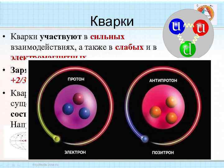 Кварки • Кварки участвуют в сильных взаимодействиях, а также в слабых и в электромагнитных.