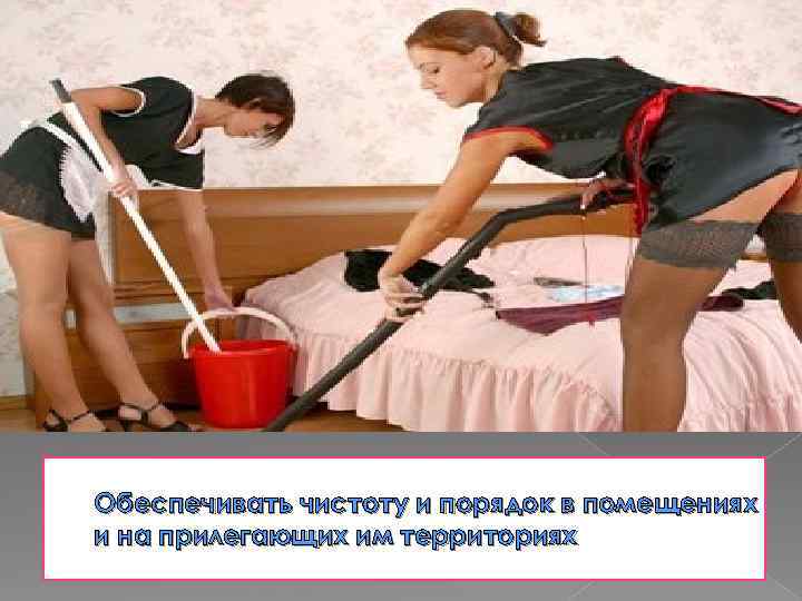 Обеспечивать чистоту и порядок в помещениях и на прилегающих им территориях 